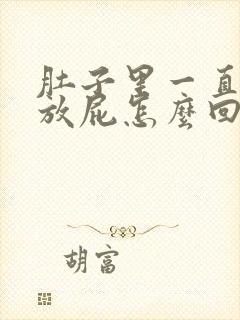 肚子里一直有气放屁怎么回事