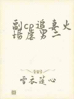 副cp追妻火葬场虐男二