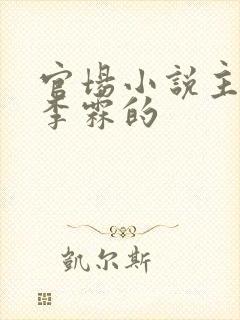 官场小说主角叫李霖的