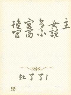 后宫多女主全部官商小说