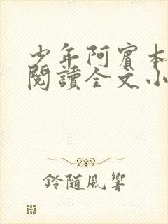 少年阿宾本全文阅读全文小说