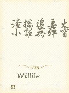 渣总追妻火葬场小说无弹窗