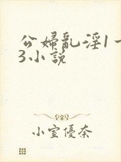 公妇乱淫1一13小说封面