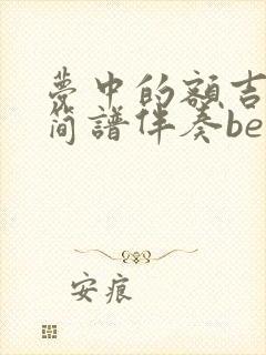 梦中的额吉动态简谱伴奏be调封面