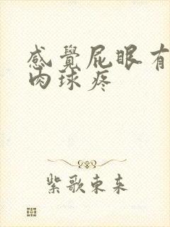 感觉屁眼有个小肉球疼