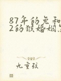 87年的兔和92的猴婚姻怎么样