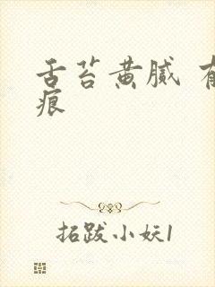 舌苔黄腻 有齿痕