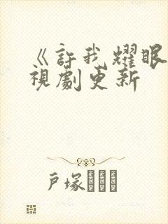 《许我耀眼》电视剧更新