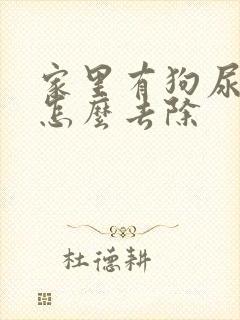 家里有狗尿味道怎么去除