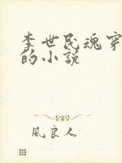 李世民魂穿刘禅的小说