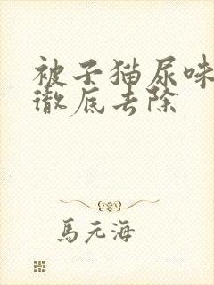 被子猫尿味怎么彻底去除