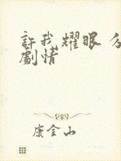 许我耀眼 分集剧情