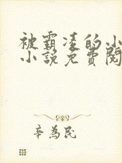 被霸凌的小可怜小说免费阅读