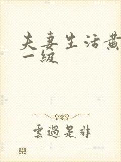 夫妻生活黄色片一级