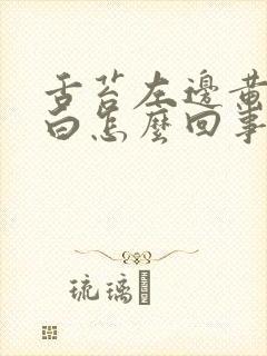 舌苔左边黄右边白怎么回事