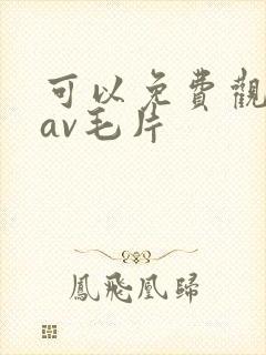 可以免费观看的av毛片封面