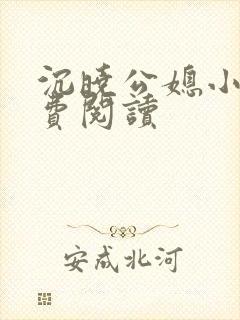 沉晓公媳小说免费阅读