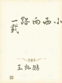 一路向西小说下载