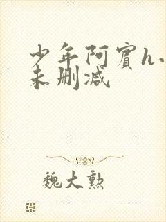 少年阿宾h小说未删减封面