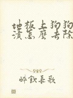 地板上狗狗的尿渍怎么去除