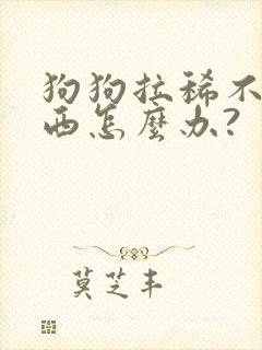 狗狗拉稀不吃东西怎么办?封面