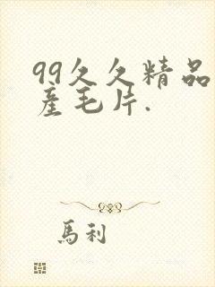 99久久精品国产毛片.