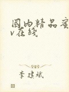 国内精品蜜桃av在线