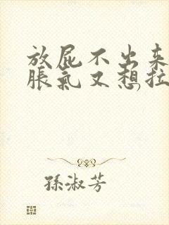 放屁不出来肚子胀气又想拉大便不来