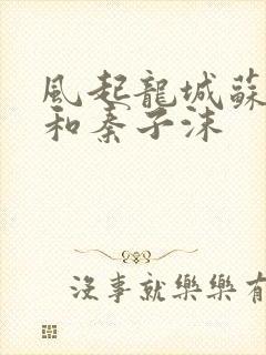 风起龙城苏天御和秦子沫