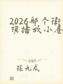 2026哪个卫视播放小巷人家封面