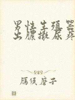 男性生殖器尿道出脓撒尿疼