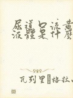 尿道口流黄色的液体是什么