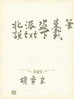 北派盗墓笔记小说txt下载