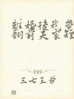 离婚后我带娃虐翻前夫家短剧在线观看