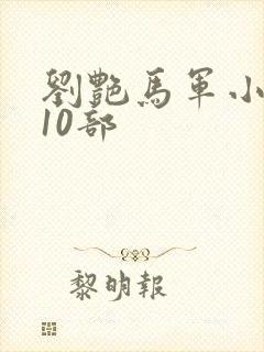 刘艳马军小说第10部