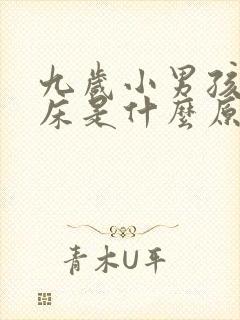 九岁小男孩还尿床是什么原因