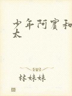 少年阿宾和胡太太