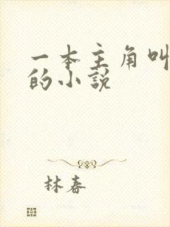 一本主角叫林凡的小说