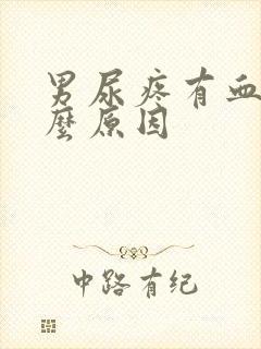 男尿疼有血是什么原因