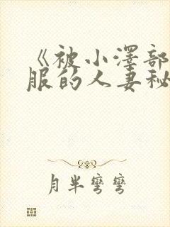 《被小泽部长驯服的人妻秘书封面
