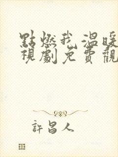 点燃我温暖你电视剧免费观看草民