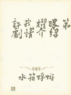 许我耀眼第六集剧情介绍封面