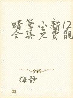 蜡笔小新12季全集免费观看封面