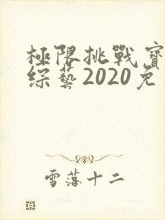 极限挑战宝藏行综艺2020免费观看