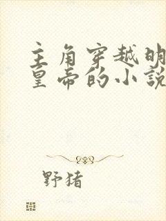 主角穿越明朝当皇帝的小说