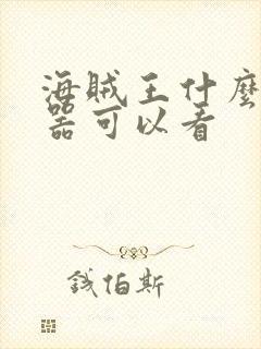 海贼王什么播放器可以看