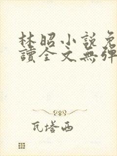 林昭小说免费阅读全文无弹窗