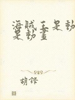 海贼王是动漫还是动画