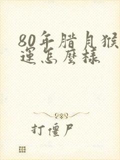 80年腊月猴命运怎么样