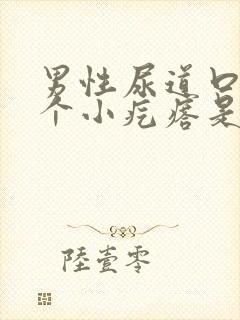 男性尿道口长一个小疙瘩是怎么回事儿